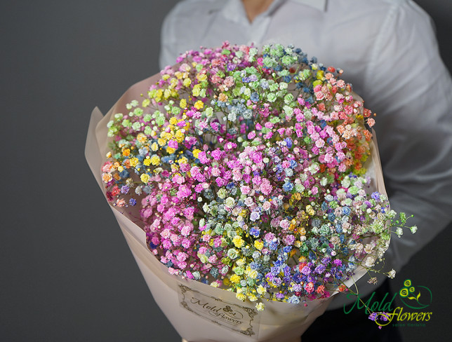 Bouquet of multicolored gypsophila ''Rainbow Mood'' photo